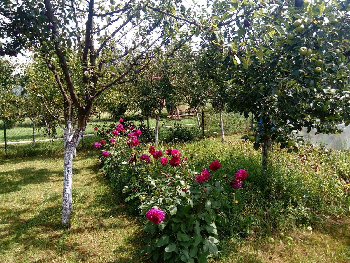 Sunny Paradise Bihać Eksteriør billede
