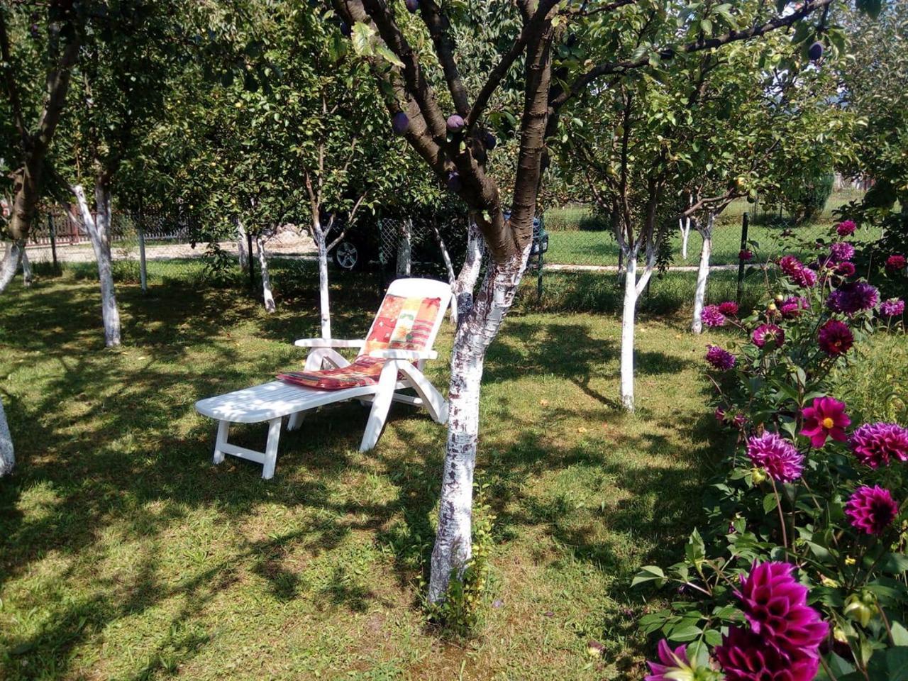Sunny Paradise Bihać Eksteriør billede